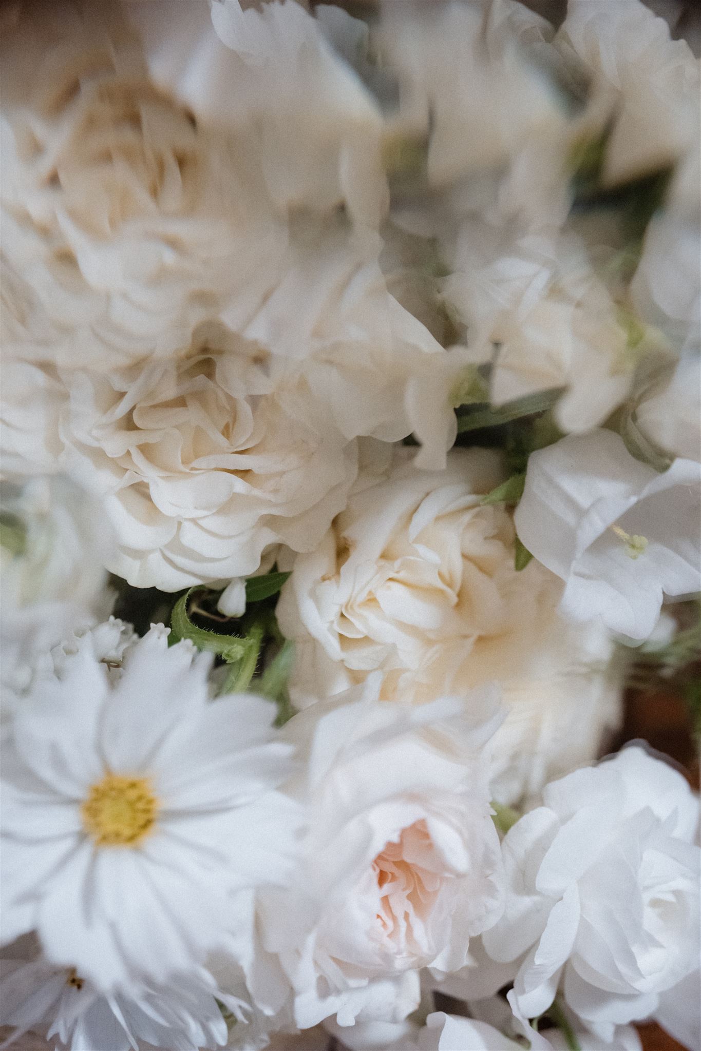 reset-to-rise Wedding Photography Workshops, Fashion photography workshops, wedding workshop, sony scene workshop, italy wedding workshop, european wedding workshop, australian workshop, wedding photography, wedding photographer workshop, new zealand wedding workshop